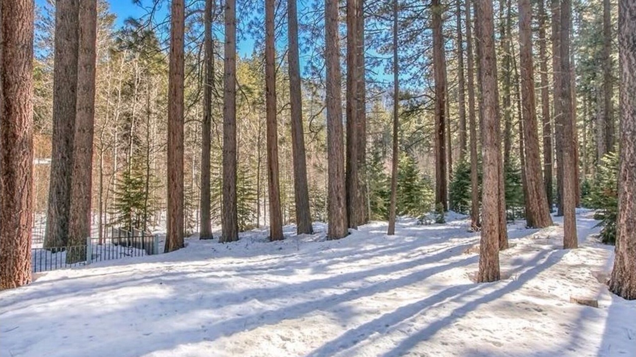 Photo of Outdoor in South Lake Tahoe