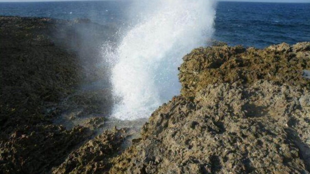 Photo of Outdoor in Kingsborough