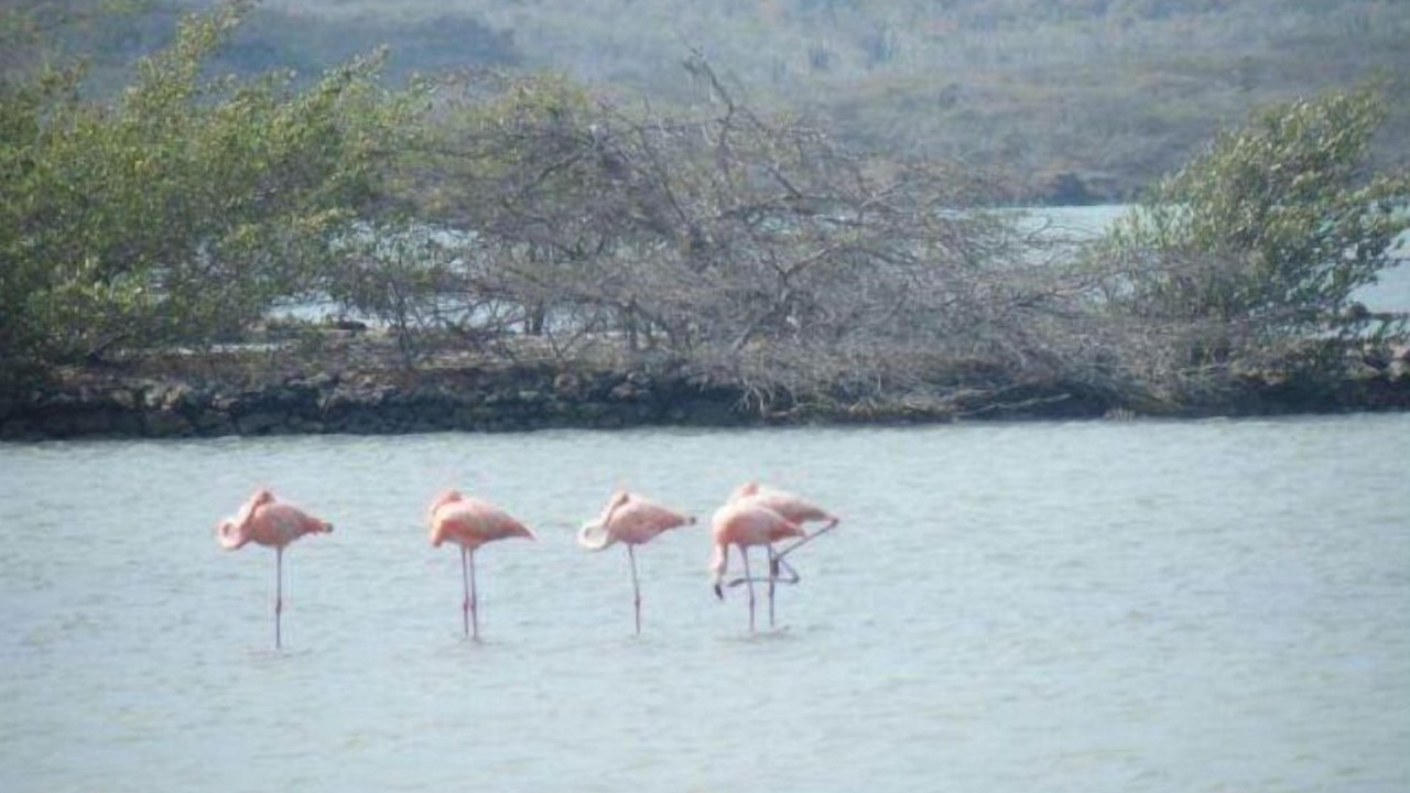 Photo of Others in Kingsborough