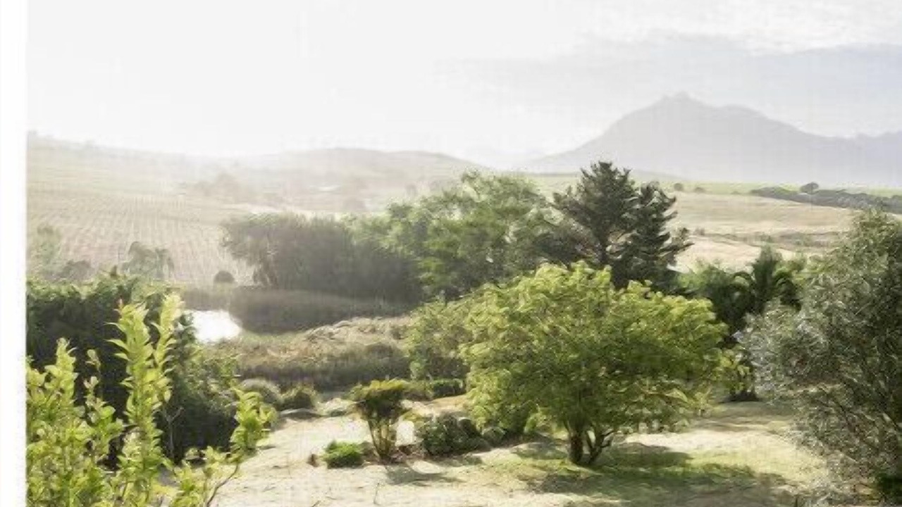 Photo of Outdoor in Stellenbosch