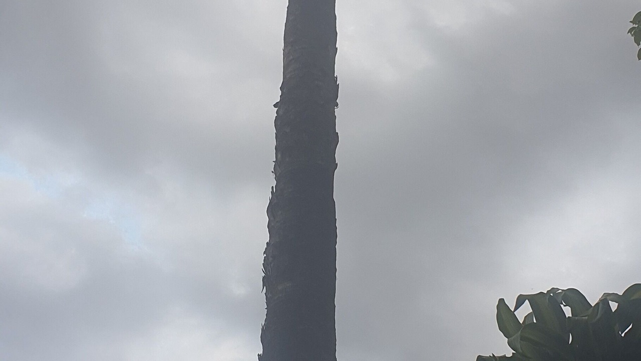 Photo of Others in Pretoria