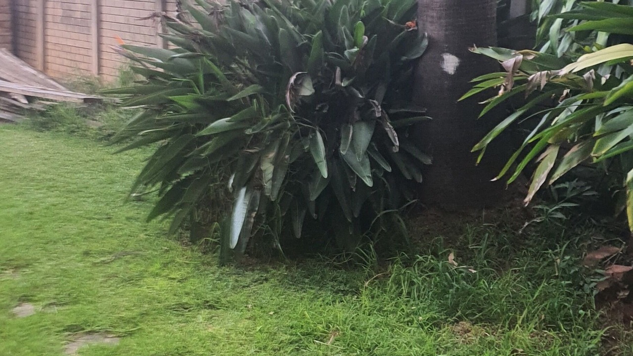 Photo of Outdoor in Pretoria