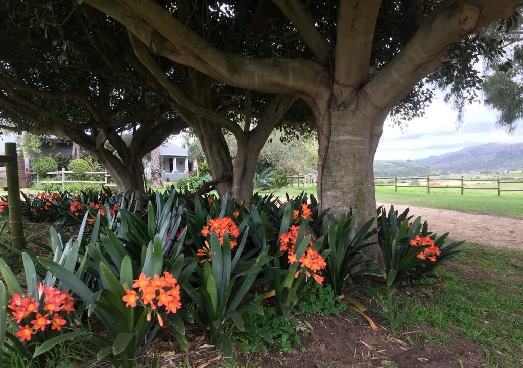 Photo of Outdoor in Hartenbos