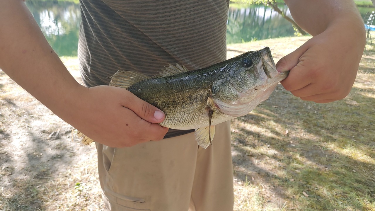 Photo of Outdoor in Greater Sacramento