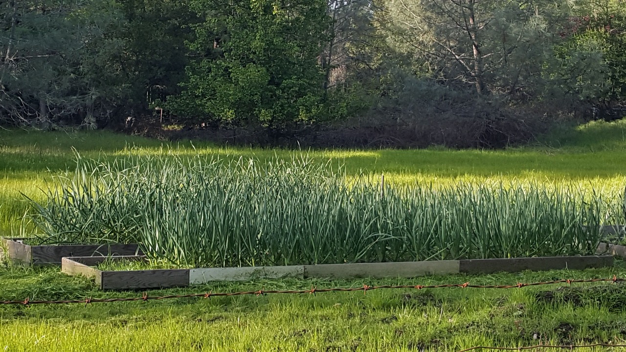 Photo of Others in Greater Sacramento