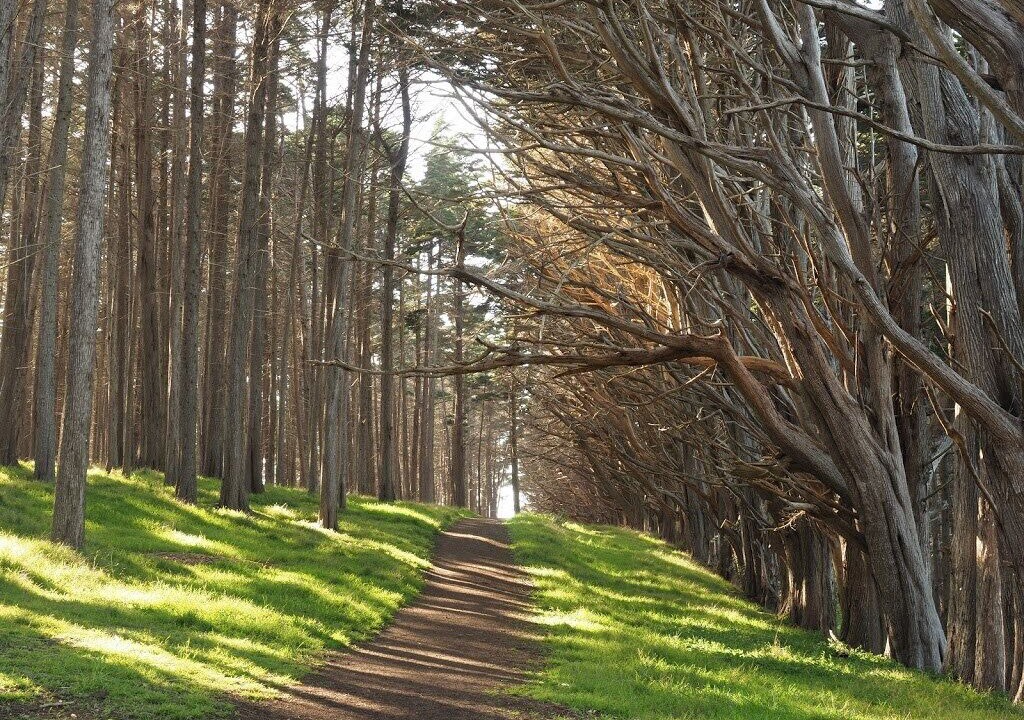 Photo of Others in Moss Beach