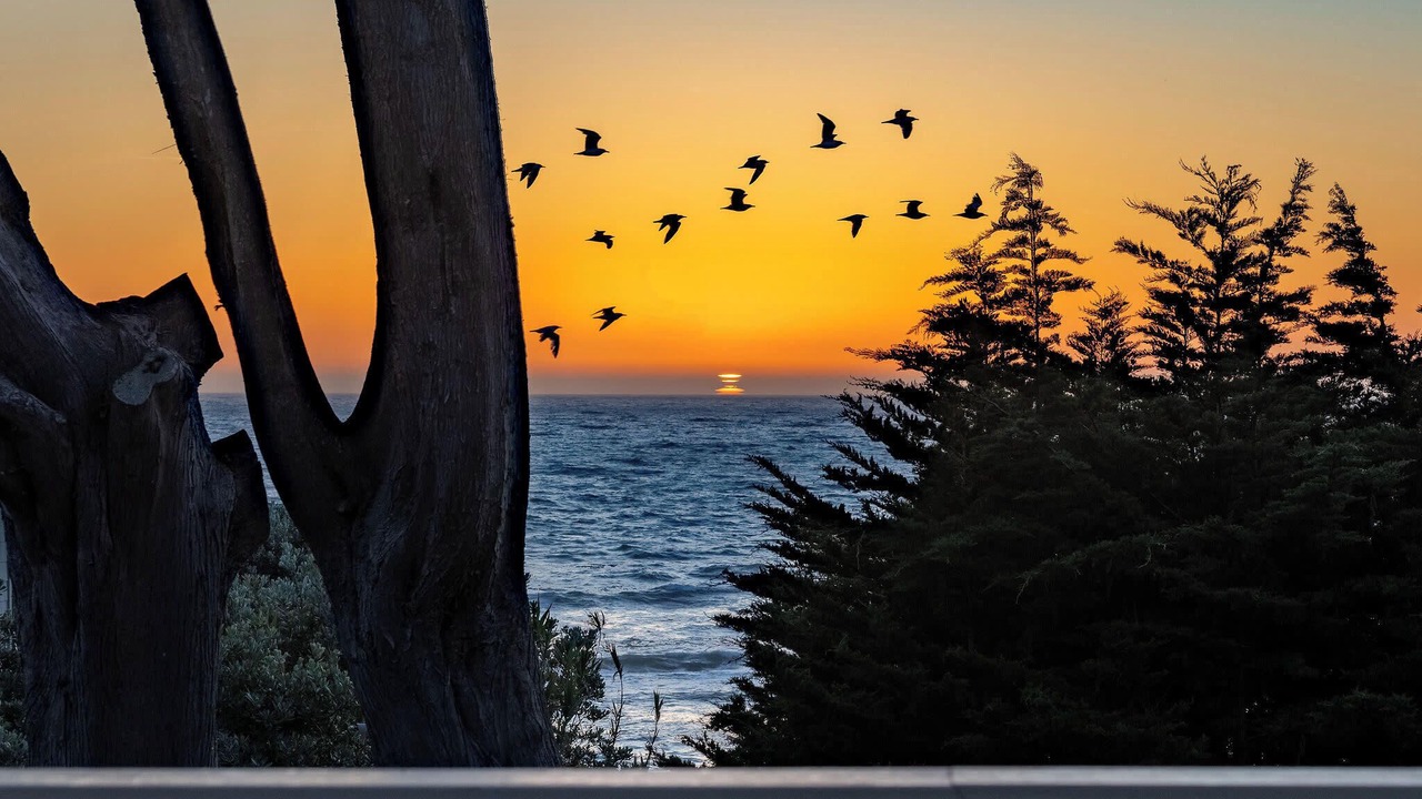 Photo of Others in Moss Beach