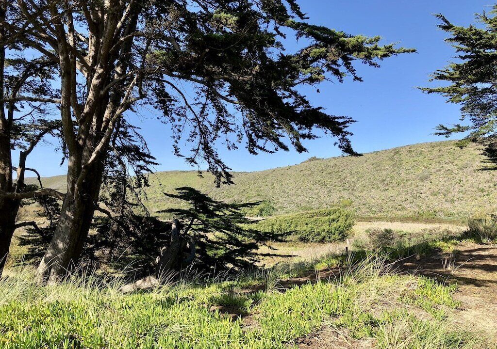 Photo of Others in Pajaro Dunes
