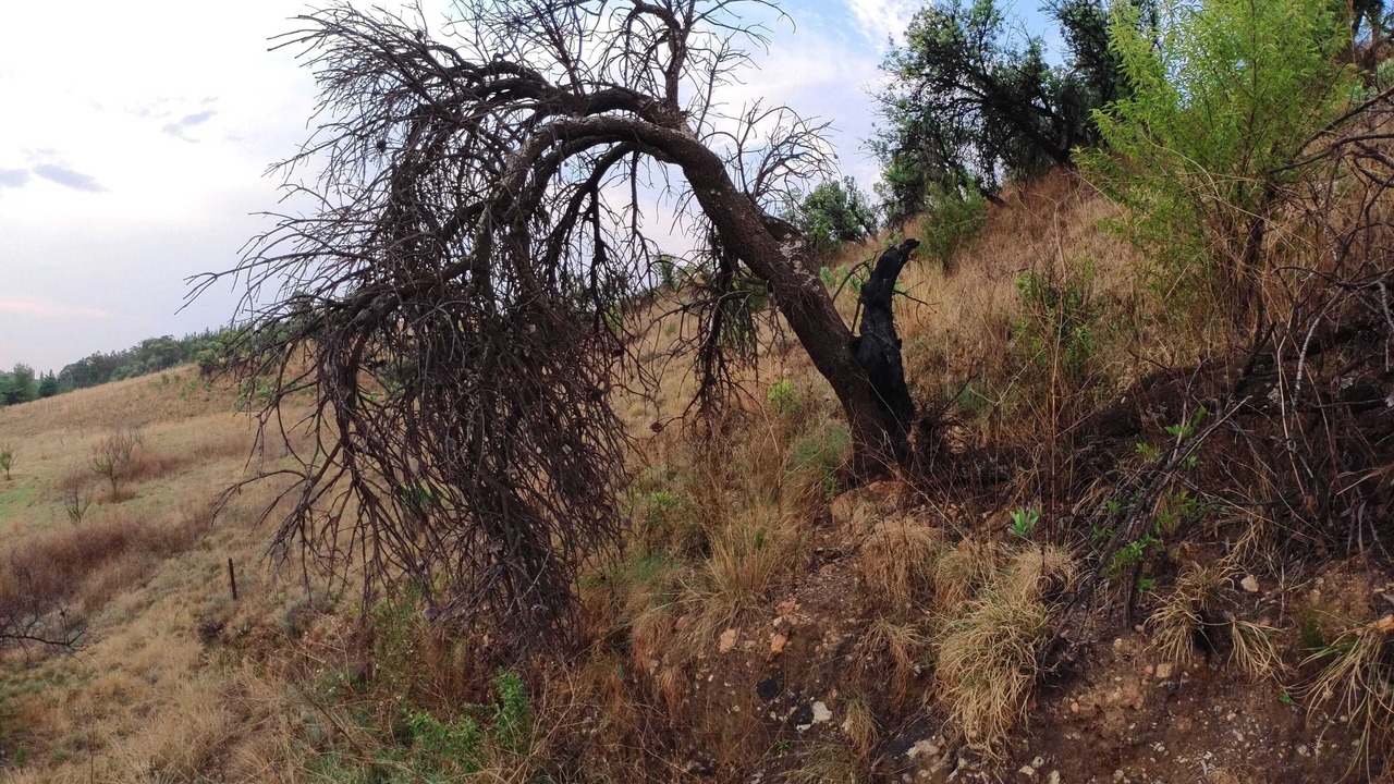 Photo of Outdoor in Mogale City