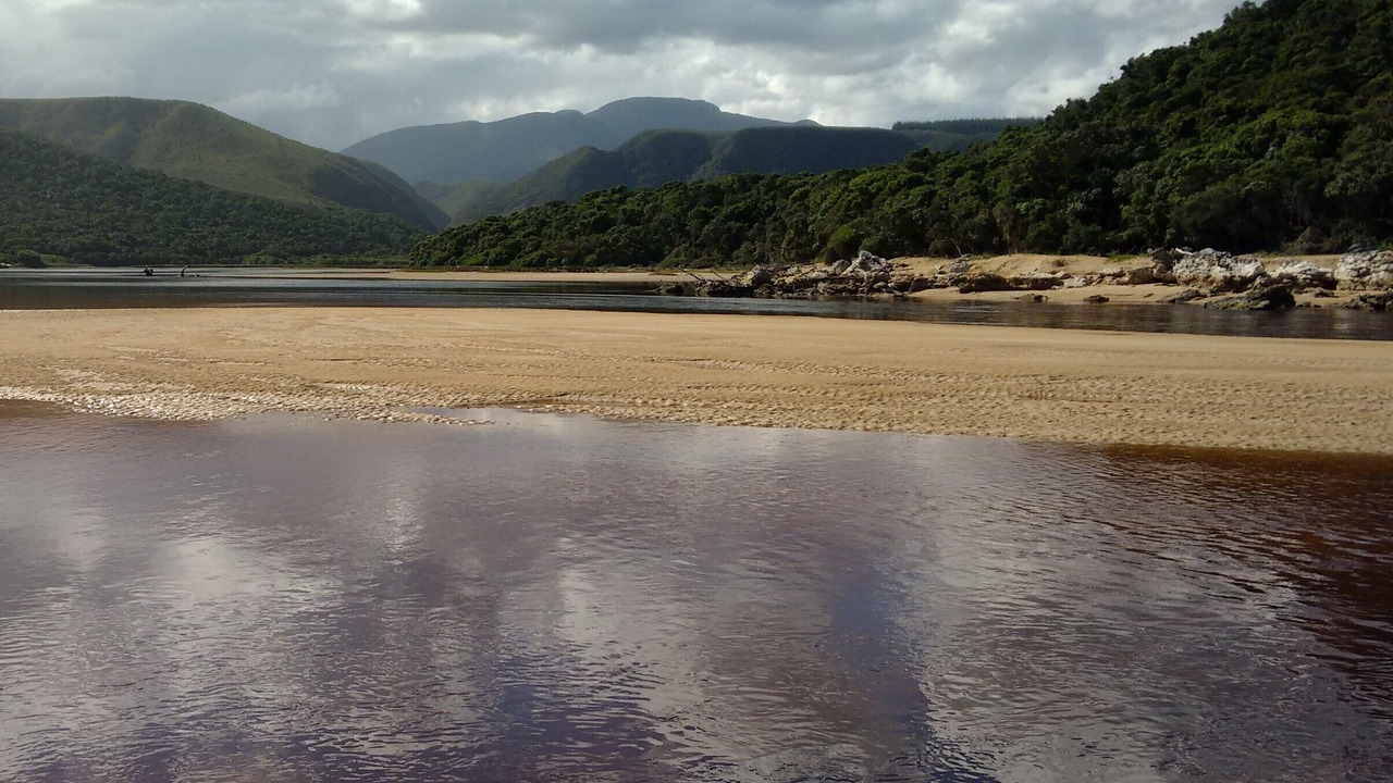Photo of Others in Nature's Valley
