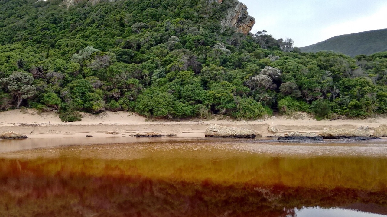 Photo of Others in Nature's Valley
