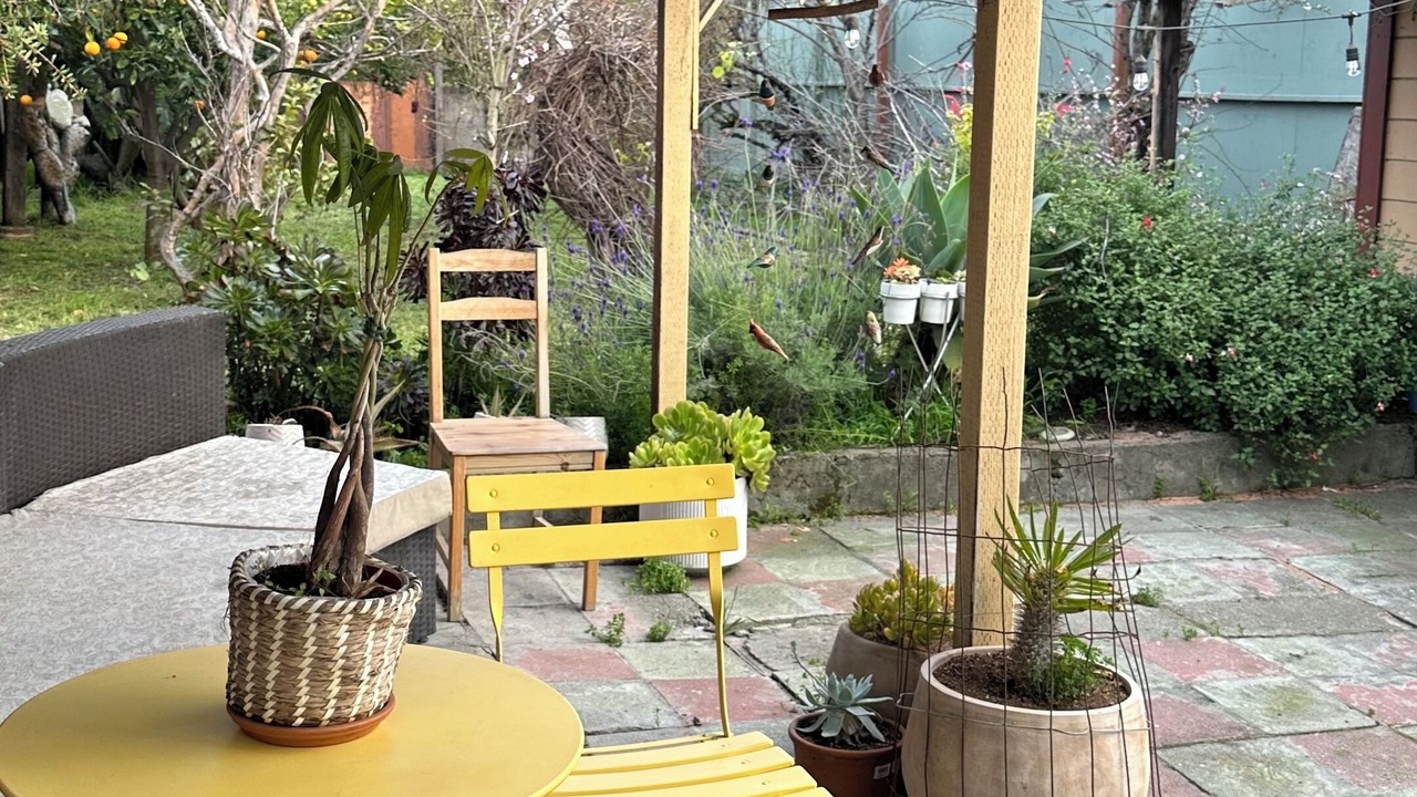 Photo of Outdoor in Oakland