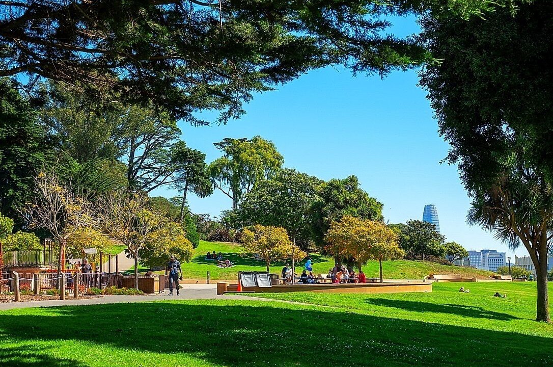 Photo of Outdoor in Pacific Heights