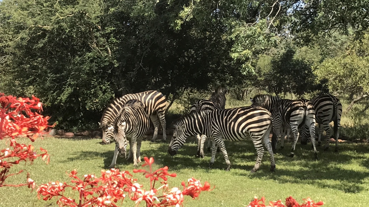 Photo of Outdoor in Hoedspruit