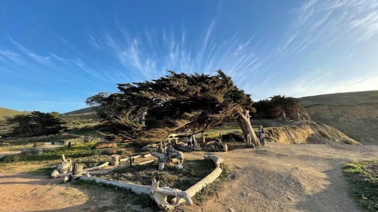 Photo of Outdoor in Sharp Park