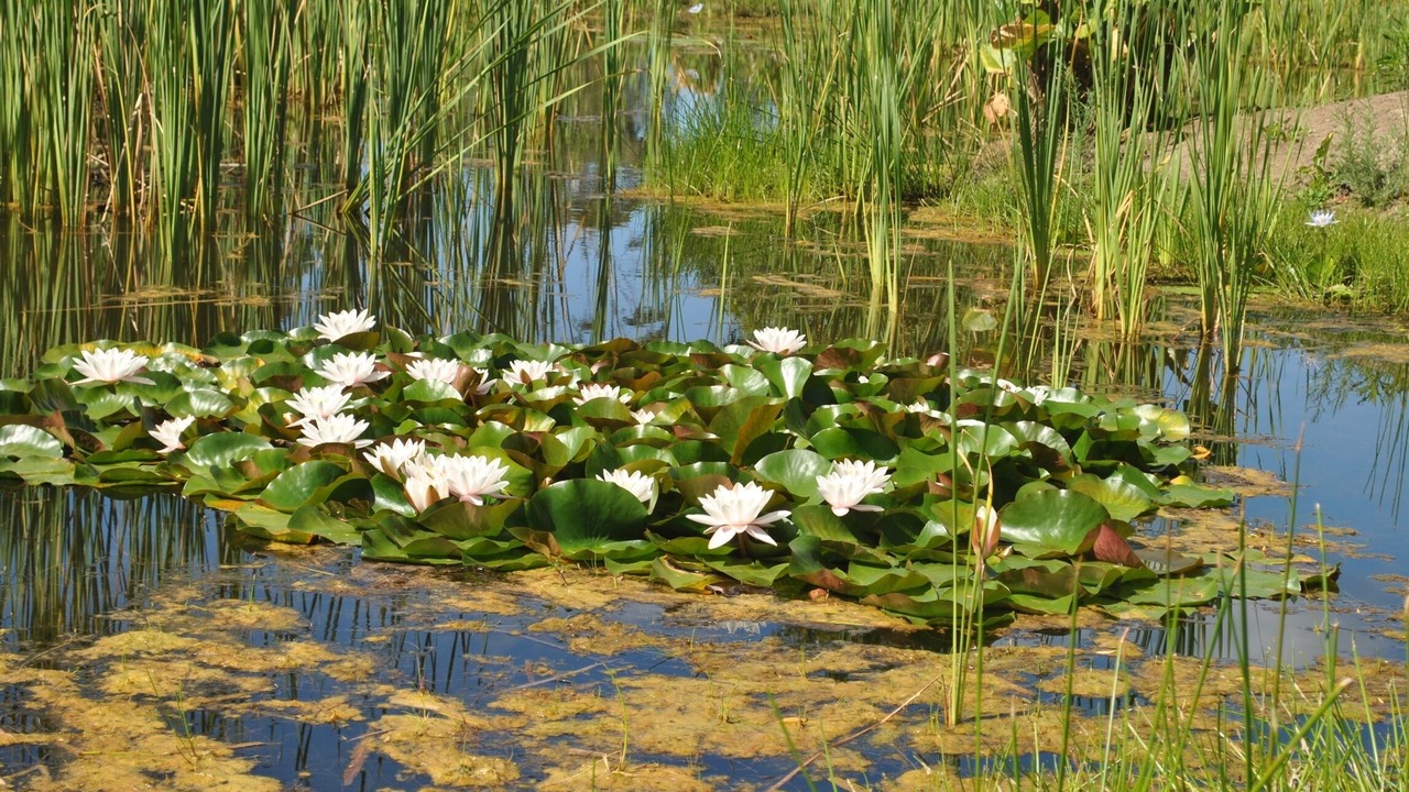 Photo of Outdoor in Die Barakke