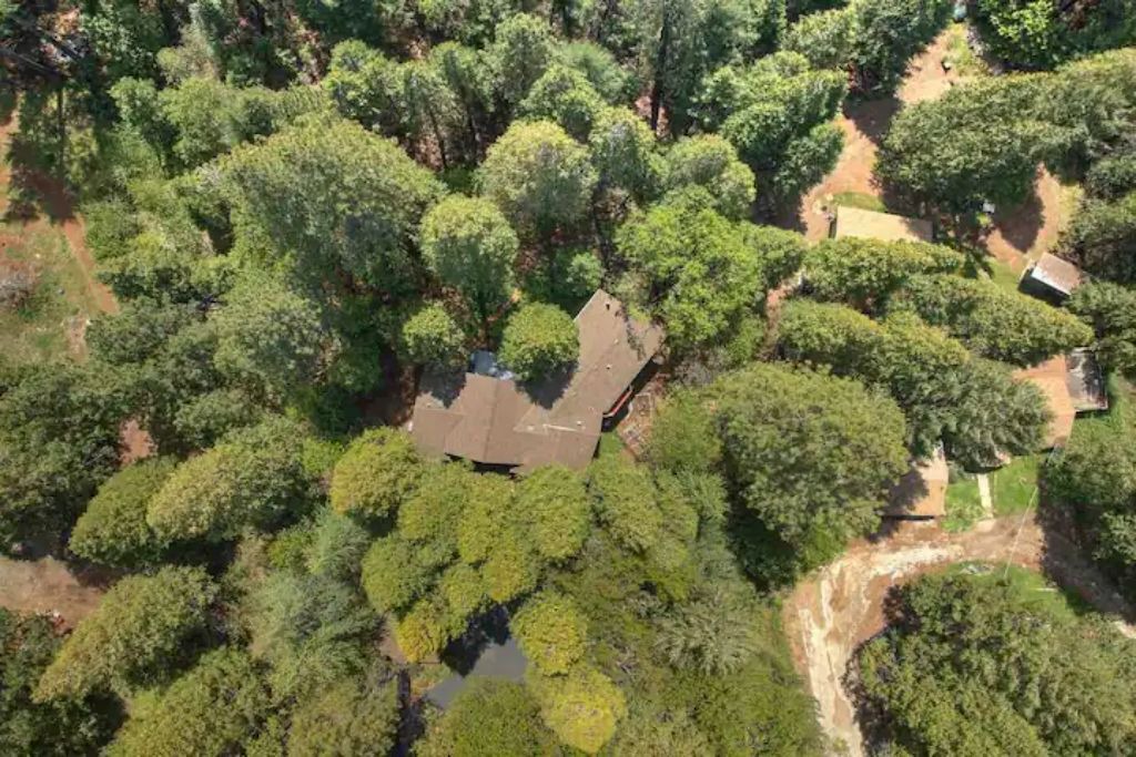 Photo of Outdoor in Apple Hill