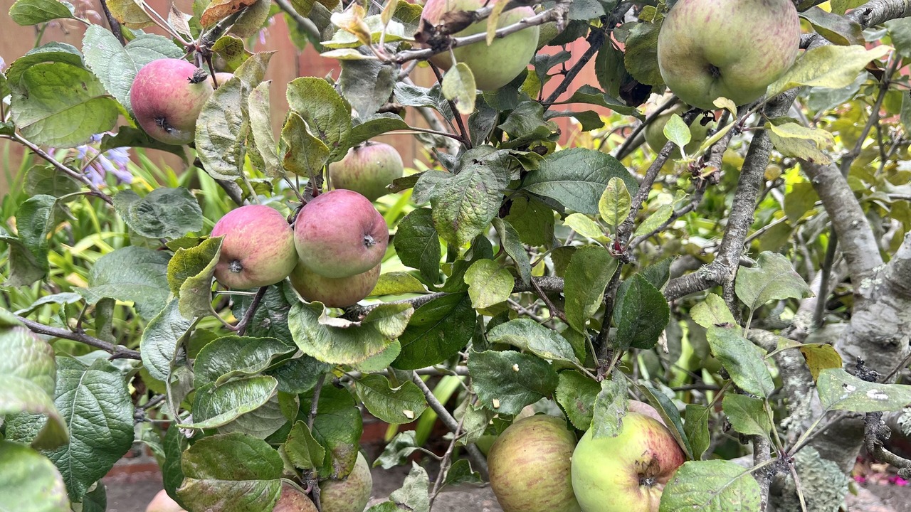 Photo of Outdoor in Outer Sunset