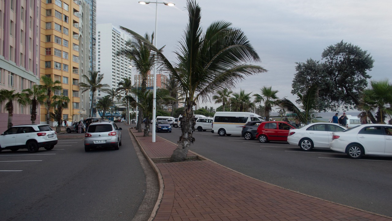 Photo of Others in South Beach