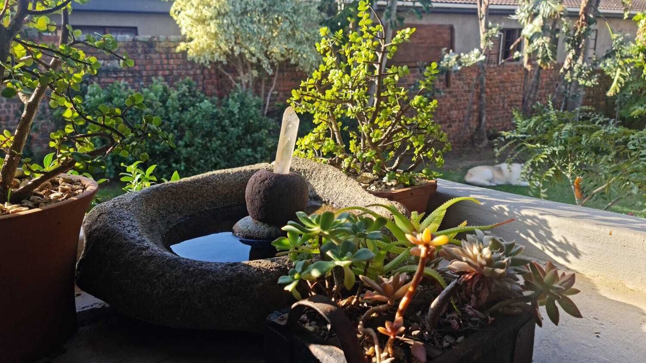 Photo of Outdoor in Jeffreys Bay