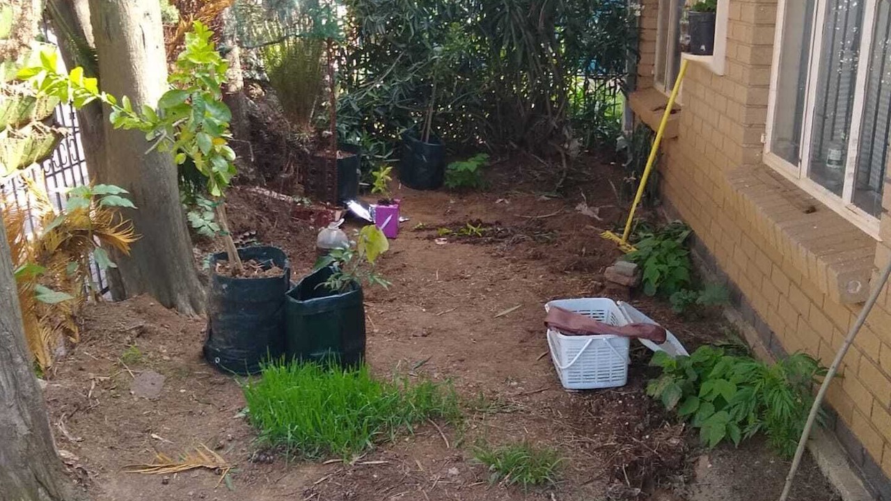 Photo of Outdoor in Greater Johannesburg Metropolitan Area