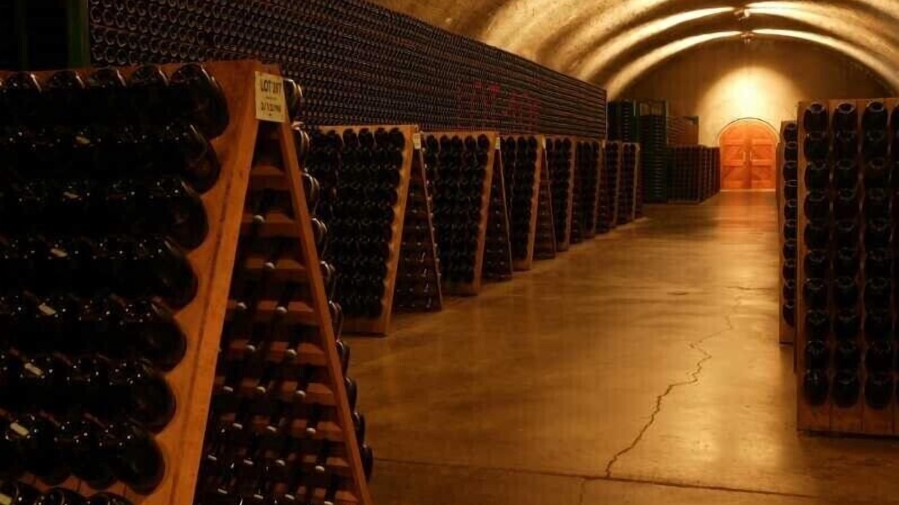 Photo of Others in Napa