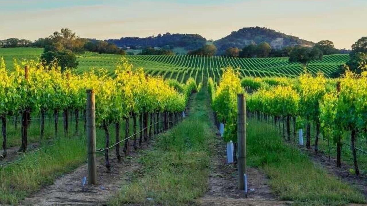 Photo of Outdoor in Napa