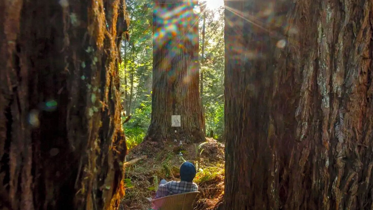 Photo of Outdoor in Fort Bragg