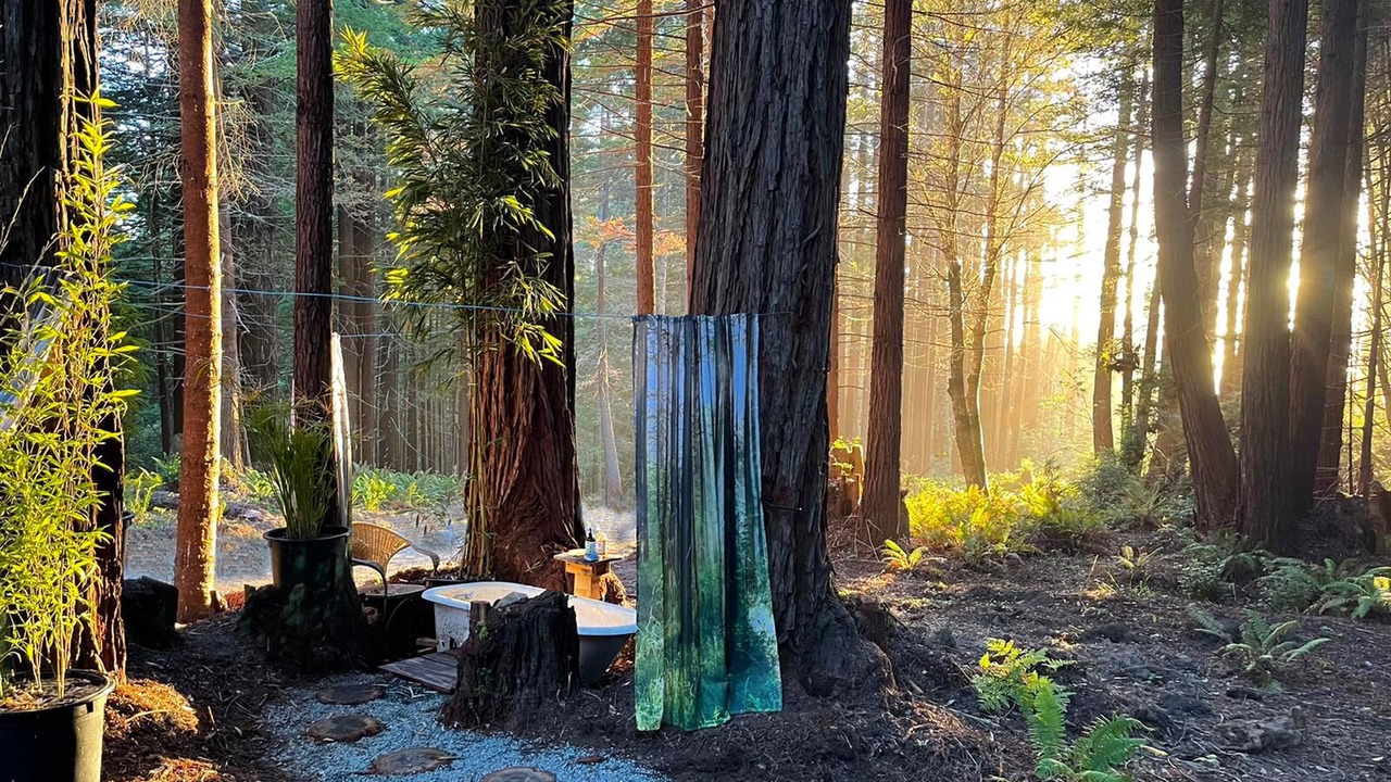Photo of Outdoor in Fort Bragg