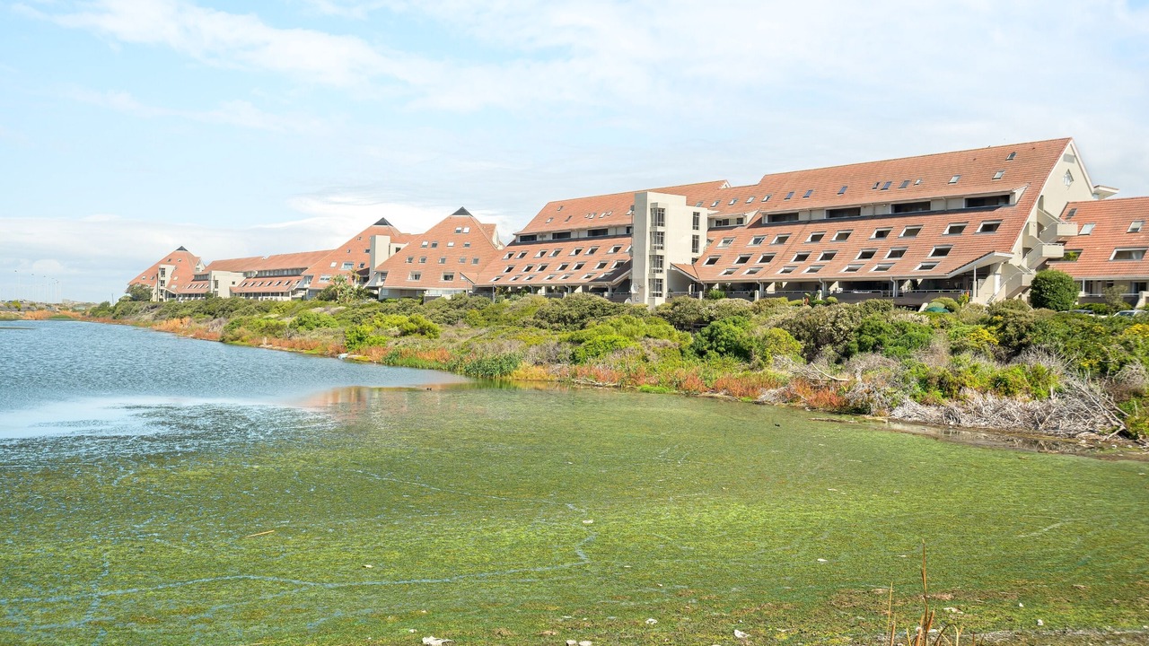 Photo of Outdoor in Bloubergstrand