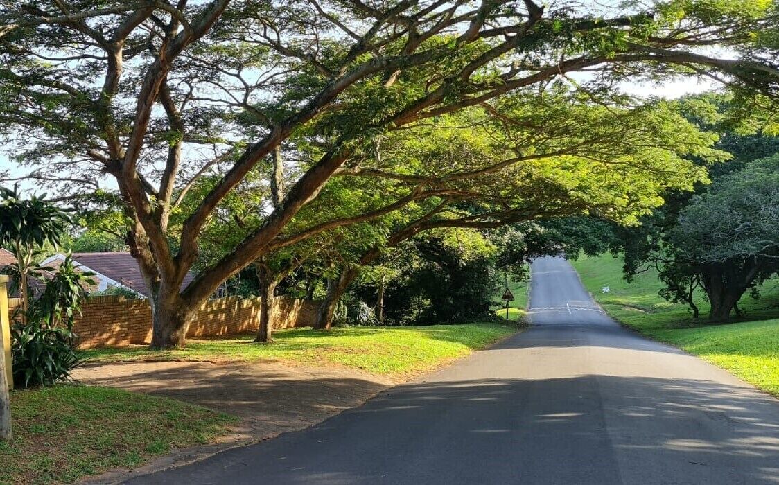Photo of Outdoor in Mtunzini