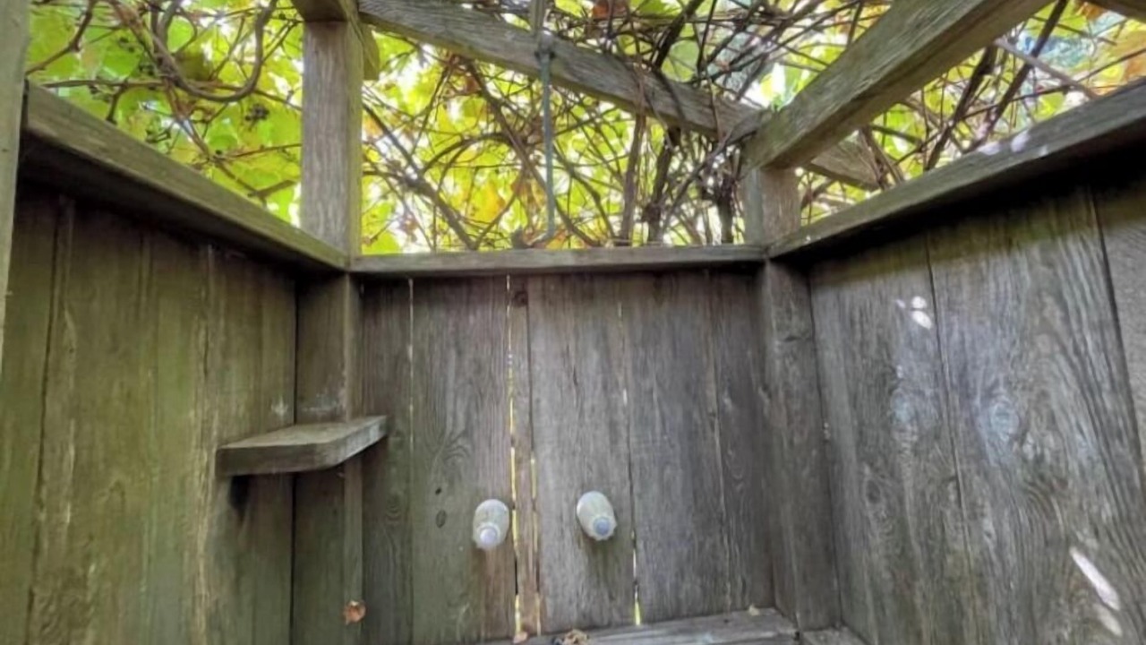 Photo of Outdoor in Eastside Santa Cruz