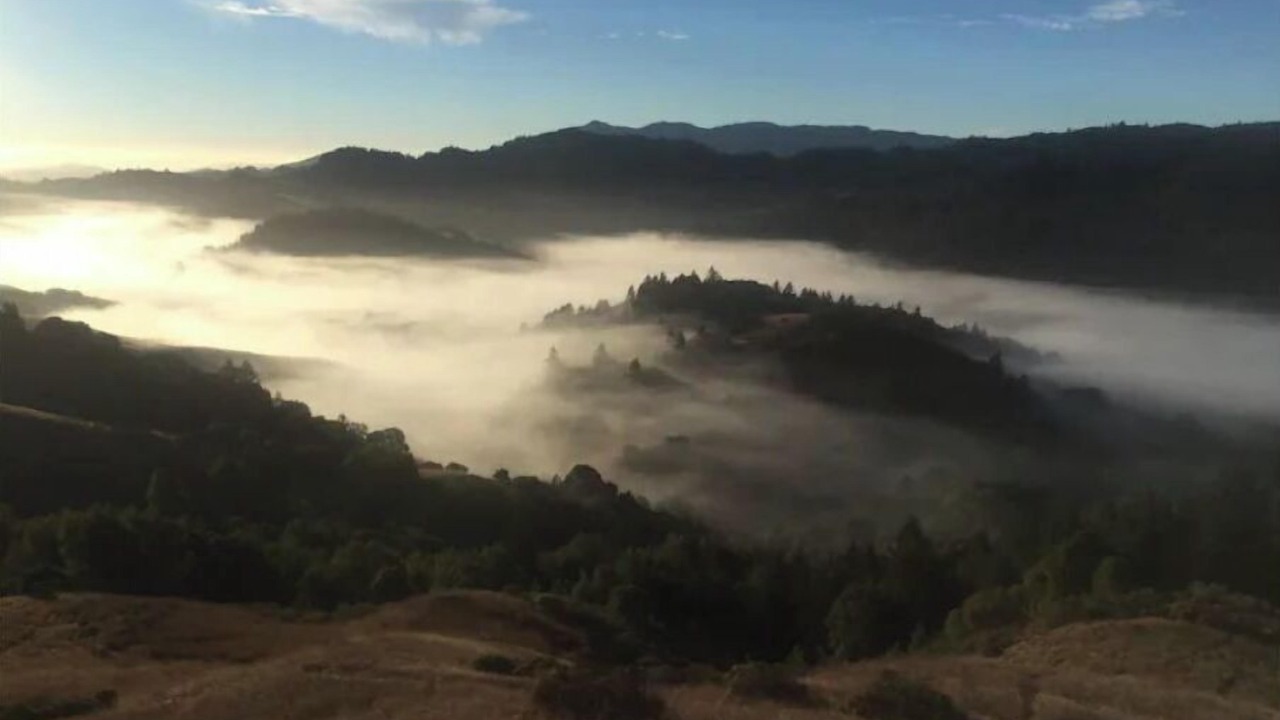 Photo of Others in Nicasio