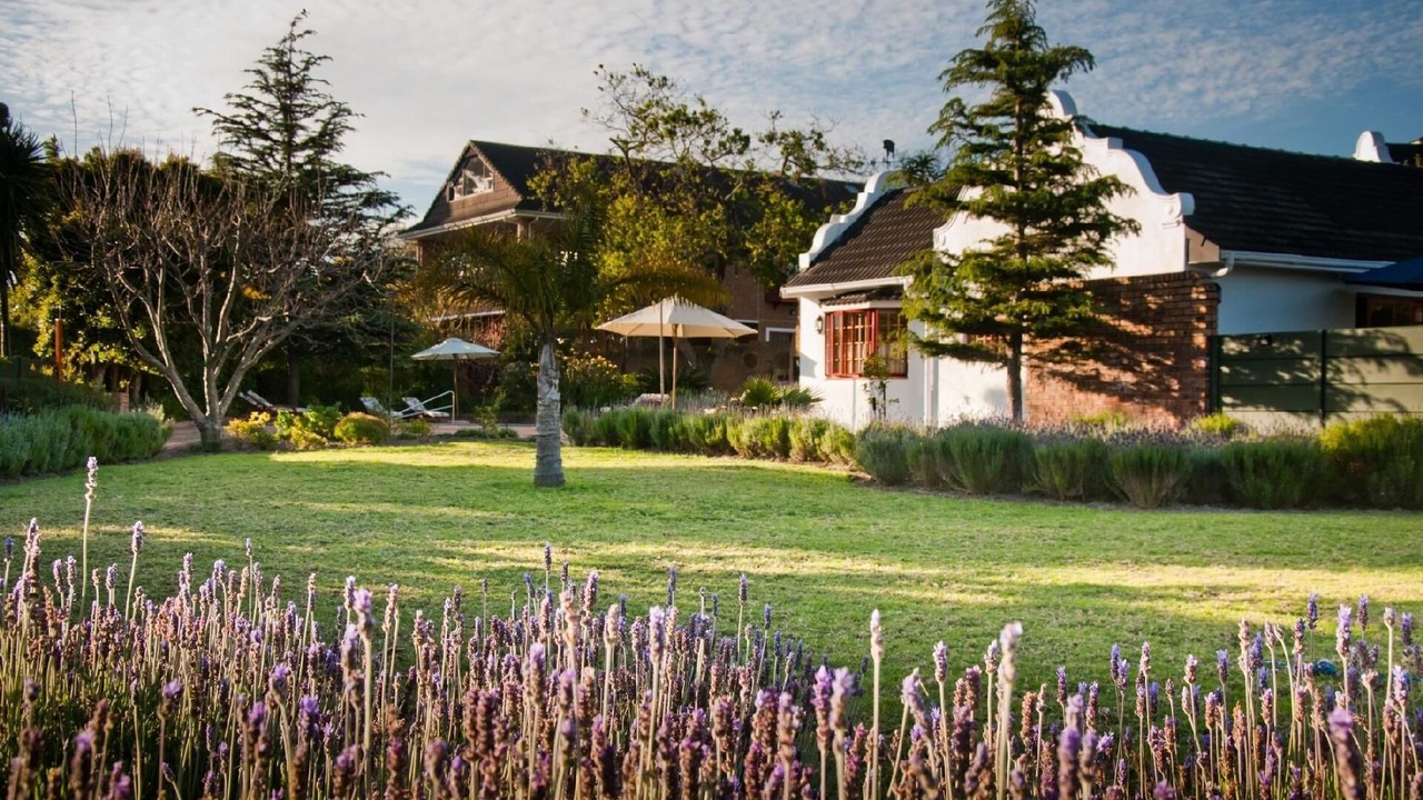 Photo of Outdoor in Somerset West