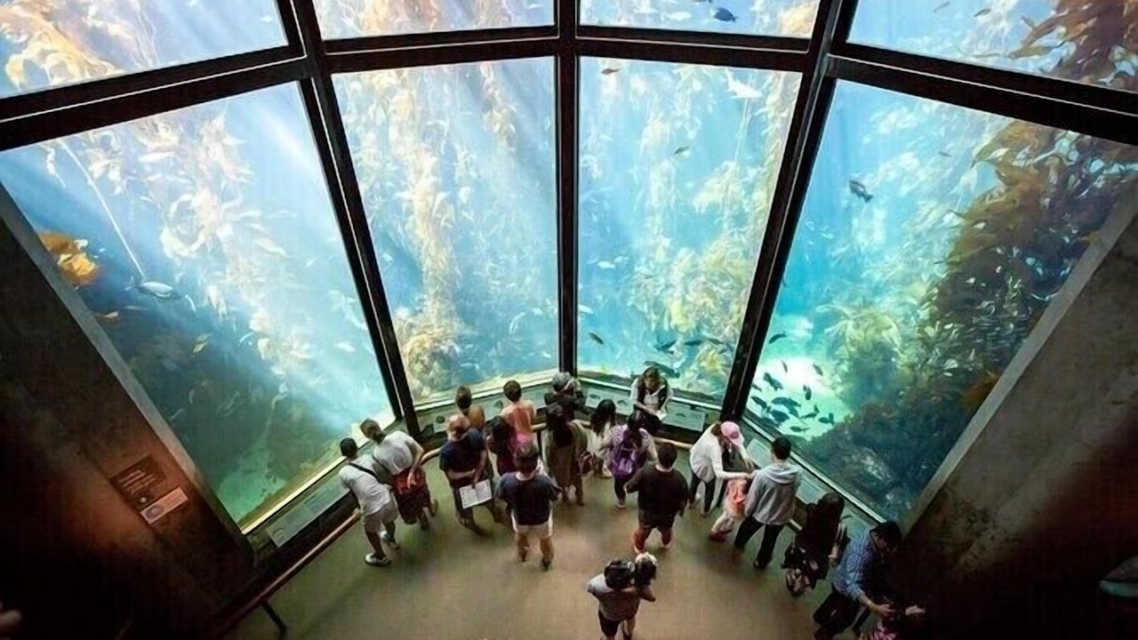 Photo of Others in Marina
