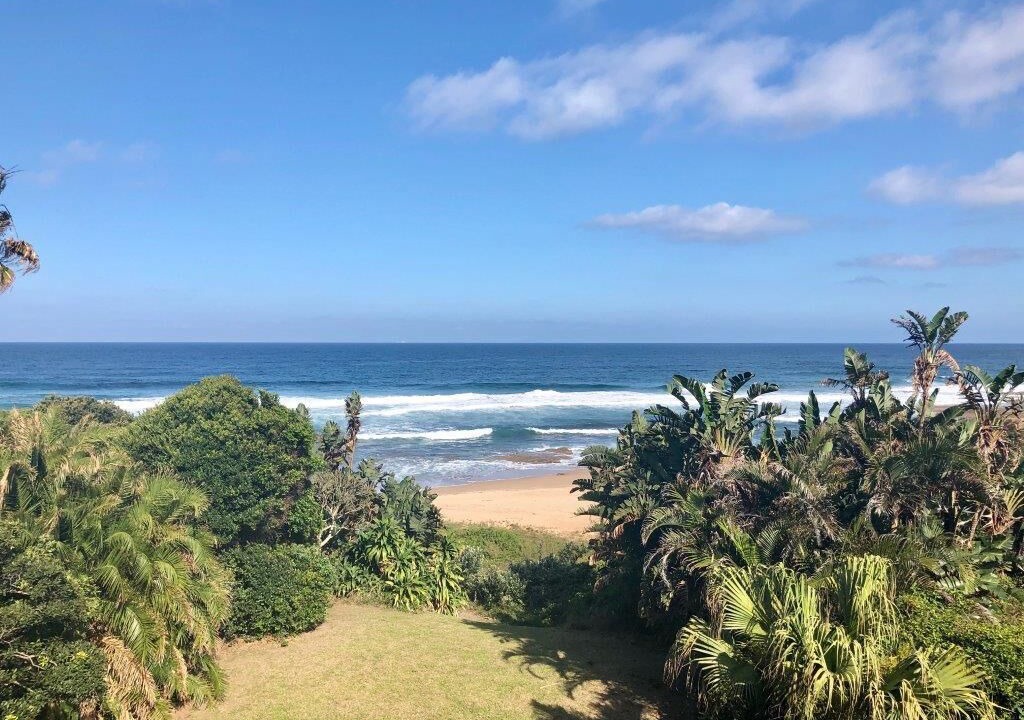 Photo of Others in Shelly Beach