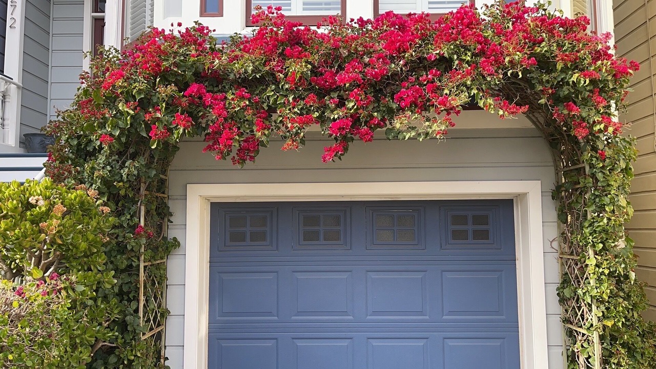 Photo of Outdoor in Noe Valley