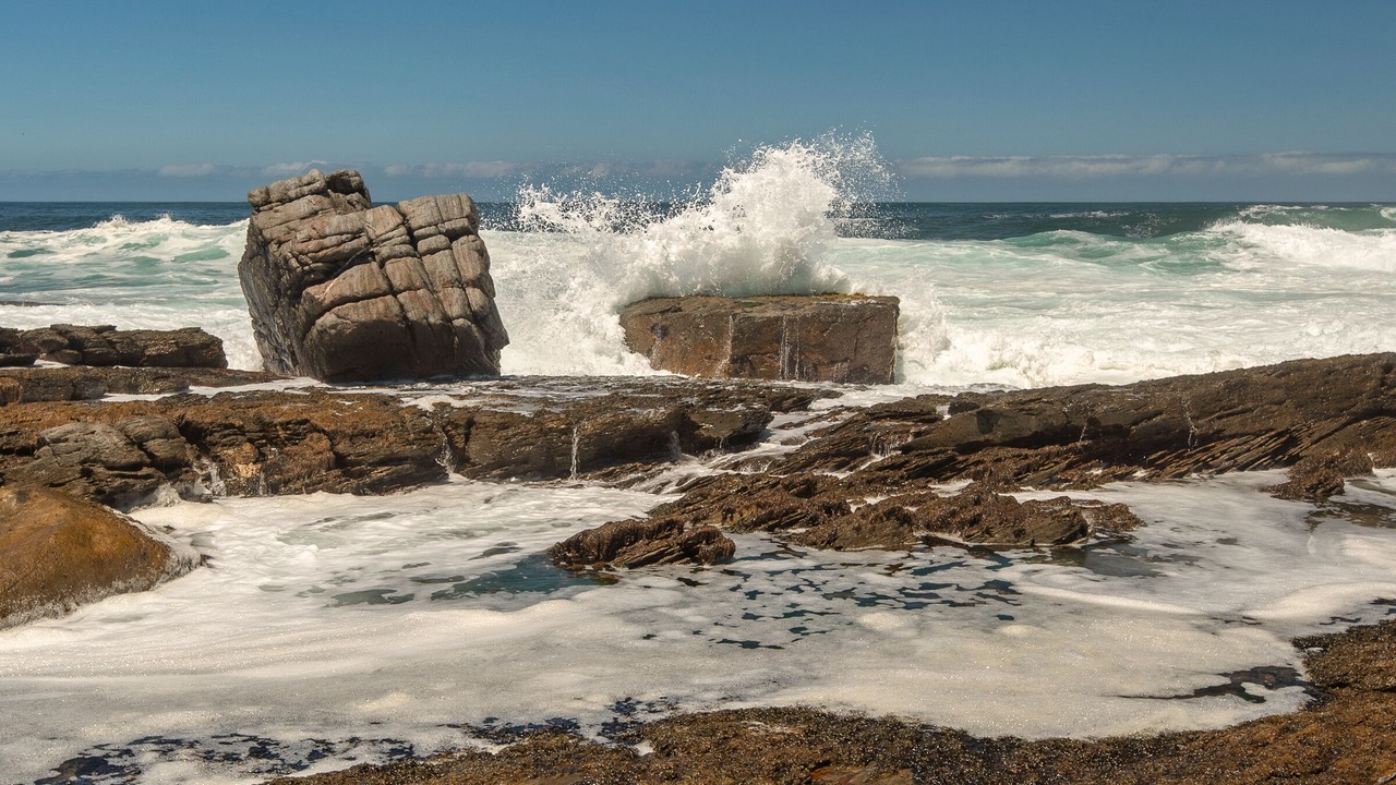 Photo of Others in Hermanus