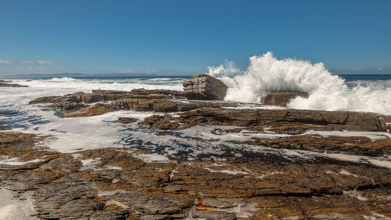 Photo of Others in Hermanus