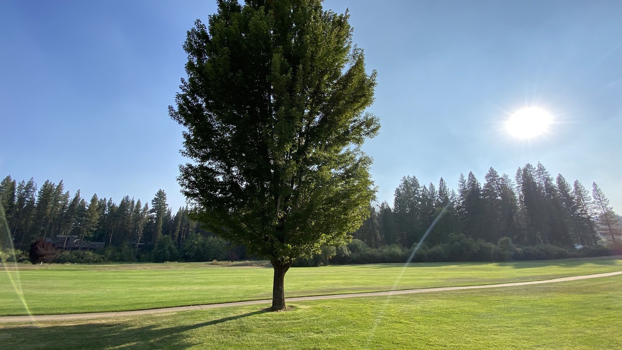 Photo of Others in Plumas Eureka Estates