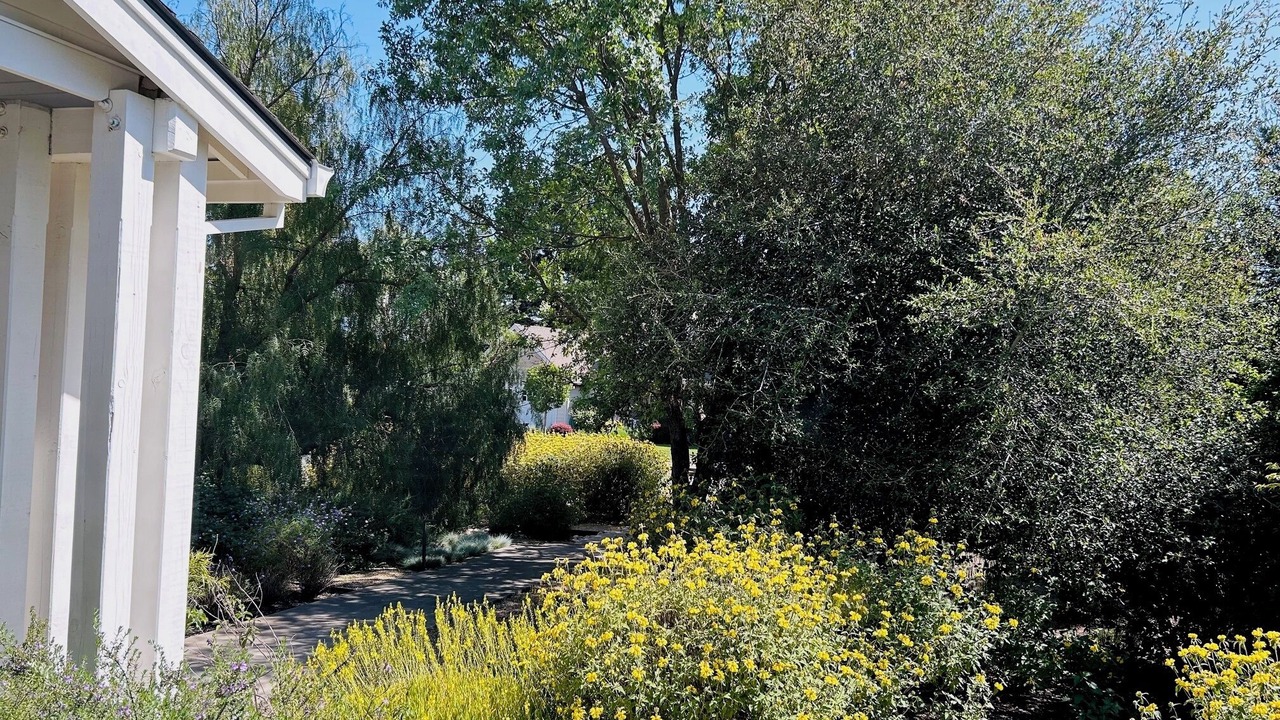 Photo of Outdoor in Sonoma