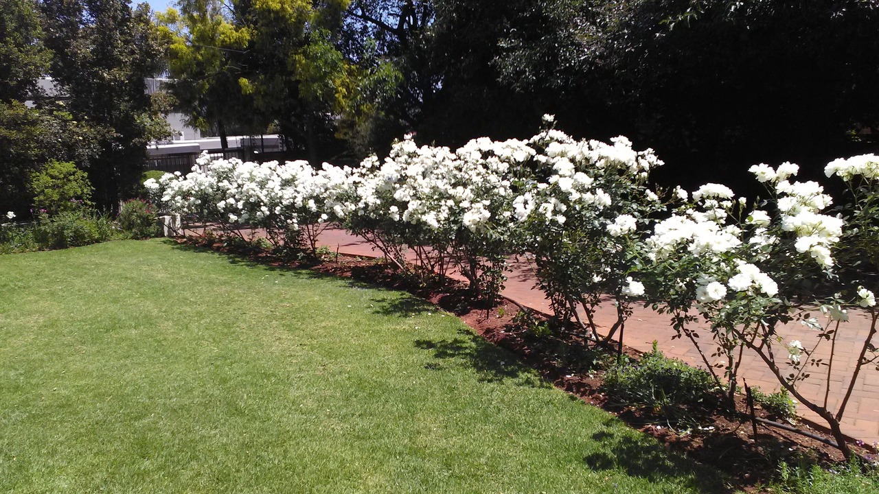 Photo of Outdoor in Bedfordview