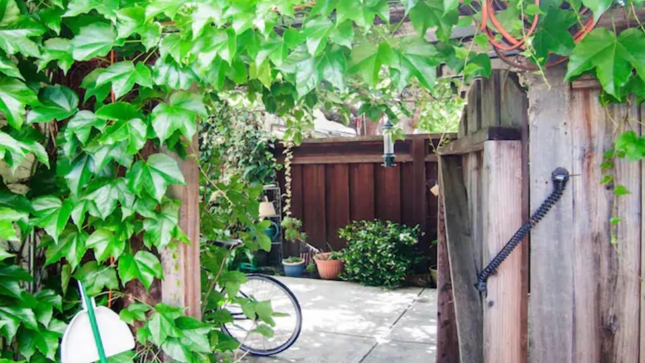 Photo of Outdoor in Shoreline West