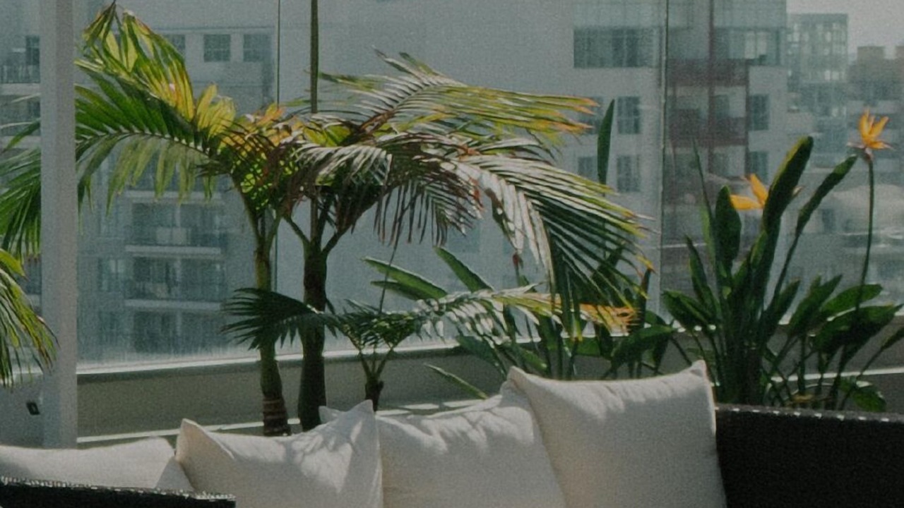 Photo of Outdoor in South Beach