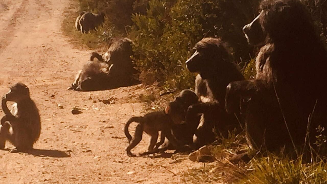 Photo of Outdoor in Rooiels