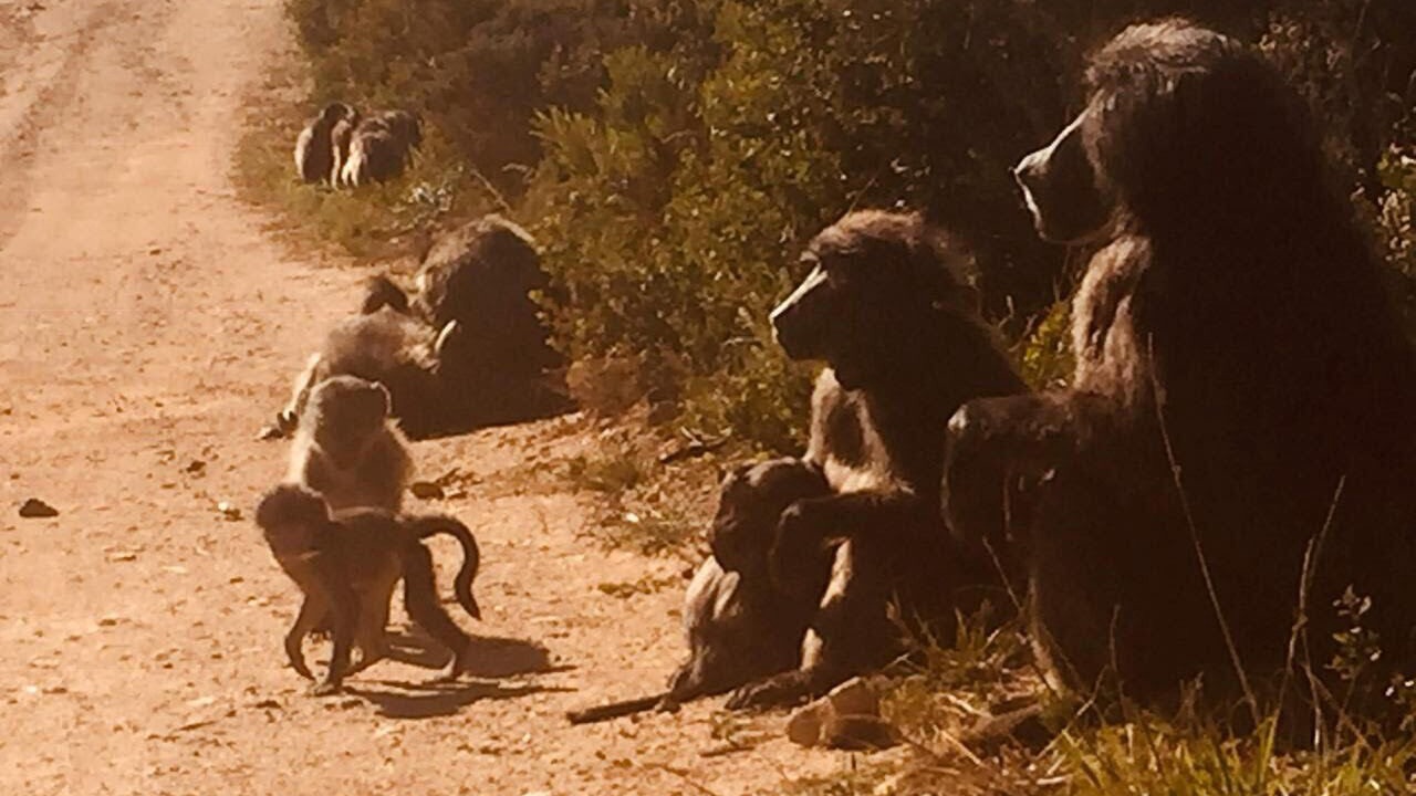 Photo of Outdoor in Rooiels