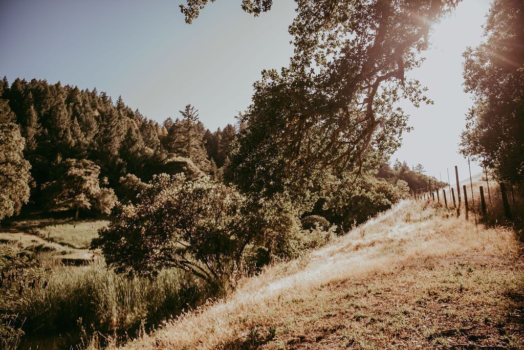 Photo of Outdoor in California Wine Country