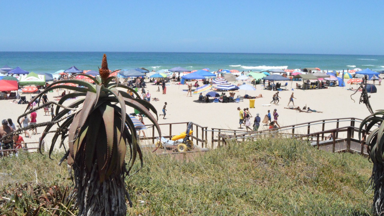 Photo of Others in Jeffreys Bay