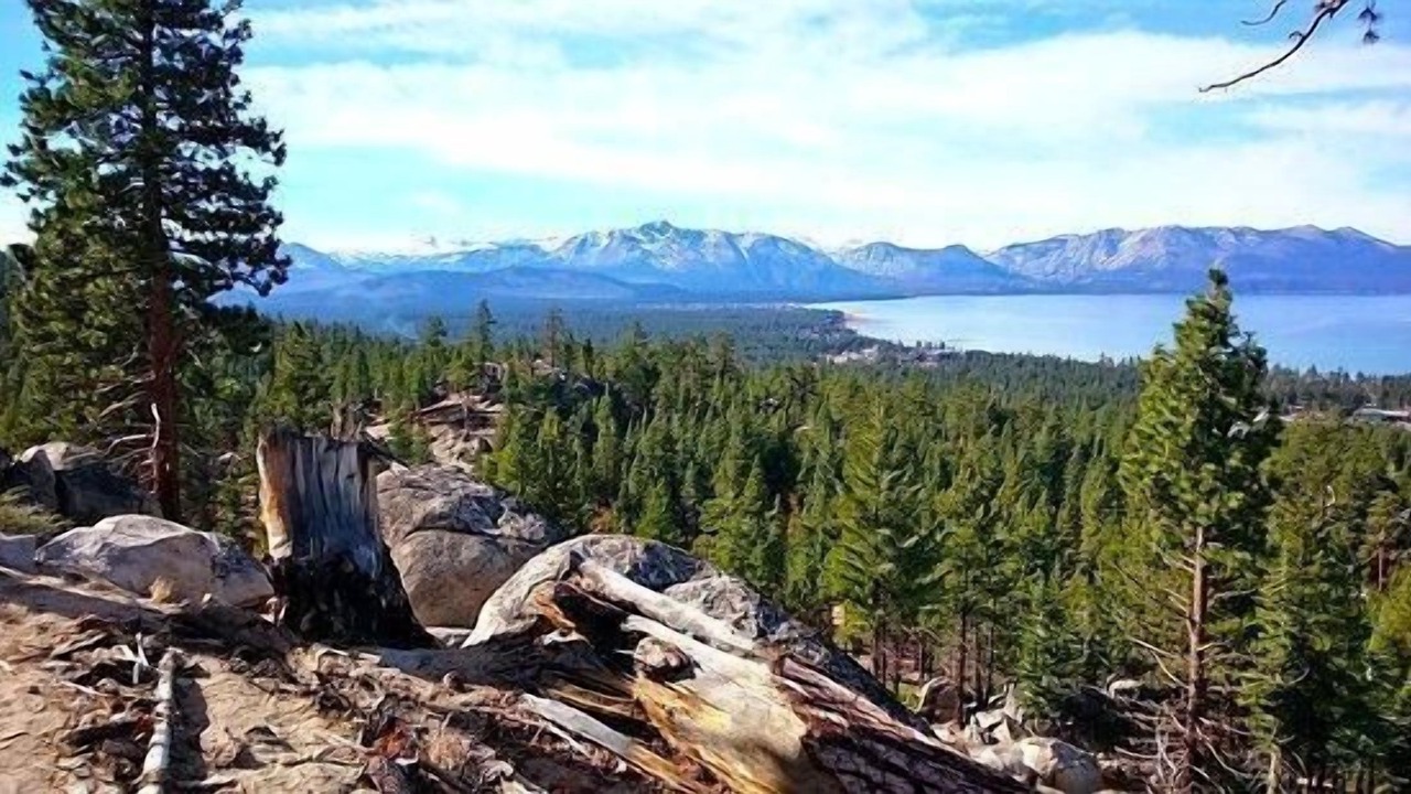 Photo of Others in South Lake Tahoe