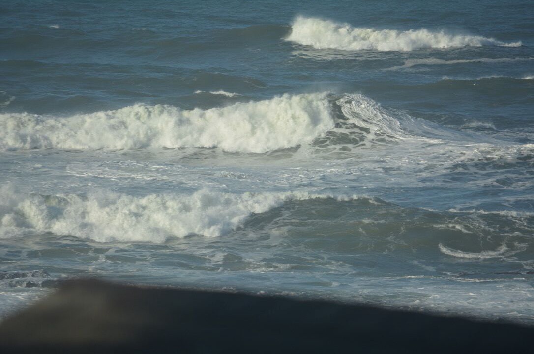 Photo of Others in Moss Beach